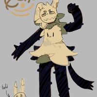 Echo Reference Sheet