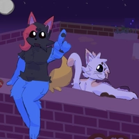 Stargazing